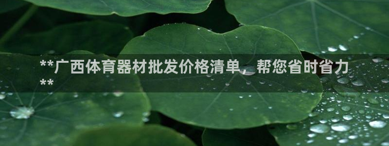 富联股份：**广西体育器材批发价格清单，帮您省时省力