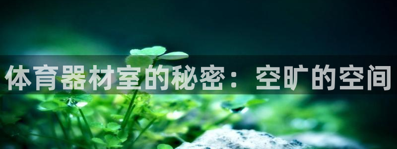 富联娱乐客服微信：体育器材室的秘密：空旷的空间