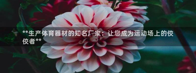 富联是什么软件：**生产体育器材的知名厂家：让您成为