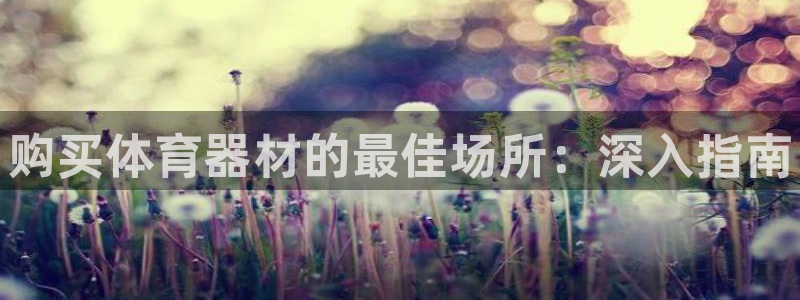 富联娱乐客户端app下载服务器失败怎么办：购买体育器