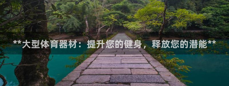 富联娱乐登录注册：**大型体育器材：提升您的健身，释