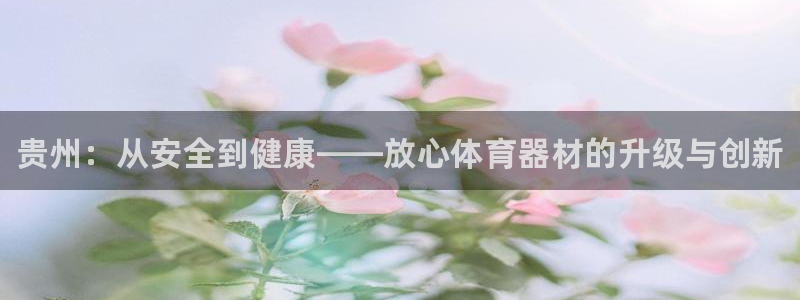 富联商城官网：贵州：从安全到健康——放心体育器材的升