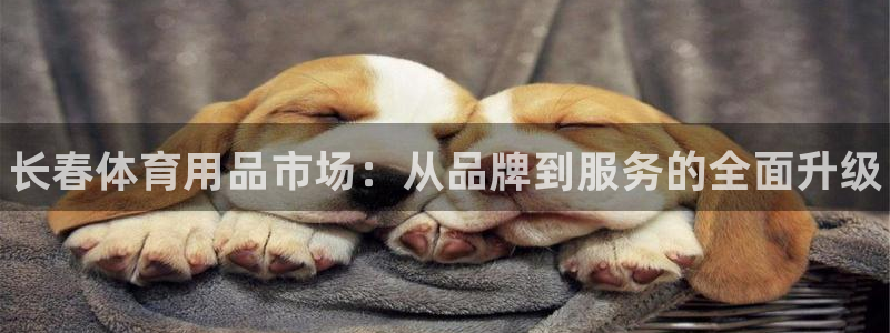 富联小区:长春体育用品市场:从品牌到服务的全面升级