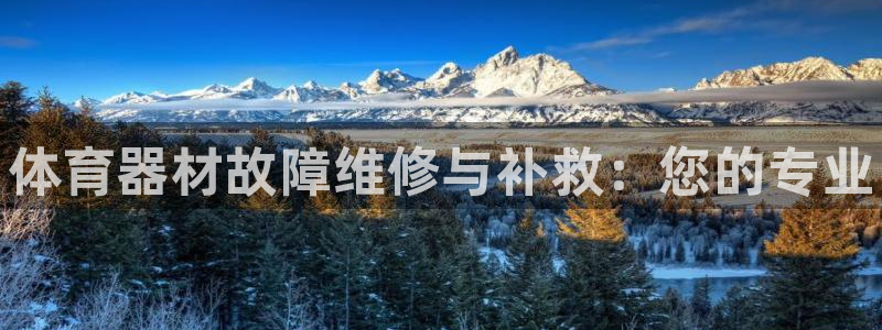 富联官网授权店铺查询：体育器材故障维修与补救：您的专